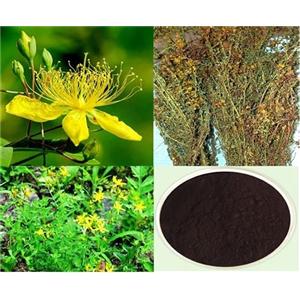 St. John\'s Wort Extract