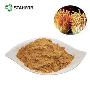 cordyceps extract