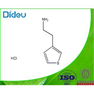 3-AMINOETHYLTHIOPHENE HCL