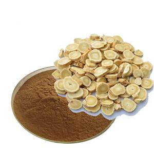 Astragalus Root Extract