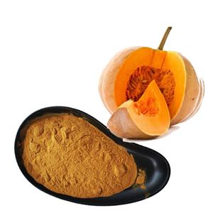 pumpkin powder