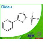 5-(2-PYRIDYL)THIOPHENE-2-SULFONYL CHLORIDE  pictures