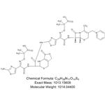 Ceftazidime Dimer B pictures