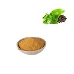 Oolong Tea Extract(90% Polyphenol,60% Catechin) pictures