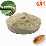 Male Silkworm Pupa Peptide pictures