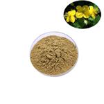 celandine extract pictures