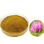 Red Clover Extract pictures