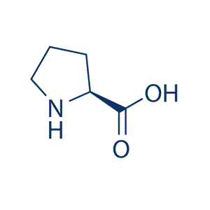 L-Proline