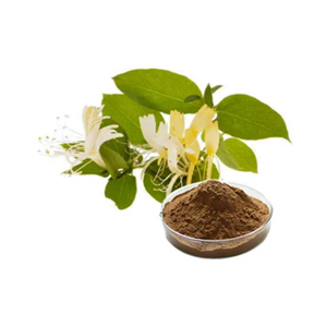 Honeysuckle extract