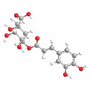 Chlorogenic Acid