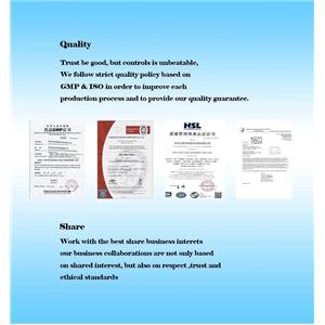 4-(4,4,5,5-TetraMethyl-1,3,2-dioxaborolan-2-yl)benzo[c][1,2,5]thiadiazole