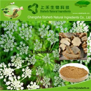 Angelica Root Extract