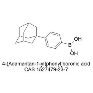 4-(Adamantan-1-yl)phenyl]boronic acid