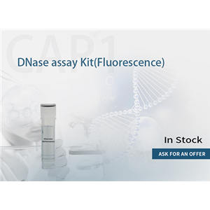 DNase assay kit