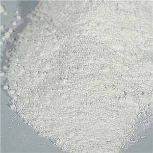 Procaine hydrochloride