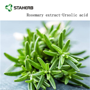Rosemary Extract powder Carnosic acid powder