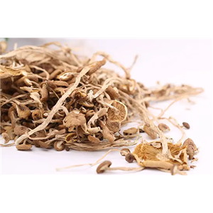 Agrocybe Chaxingu Extract