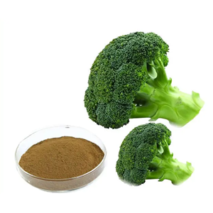 Broccoli Extract