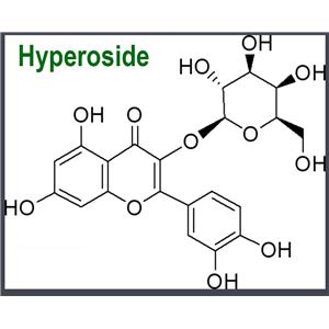 Hyperoside