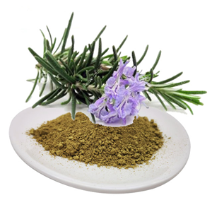 Rosemary Extract powder Carnosic acid powder