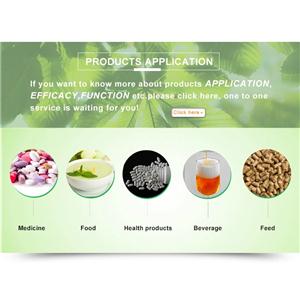 Cyrtomium Fortunei Extract