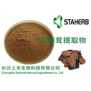 Chaga Mushroom extract