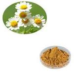 Feverfew Extract pictures