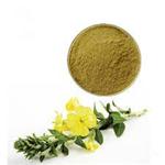 Evening Primrose Extract pictures