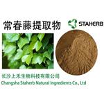 Ivy leaf extract pictures