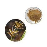 Cyperus Esculentus Extract pictures