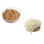 Enoki Mushroom Extract pictures