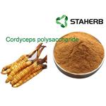 Cordyceps polysaccharide pictures