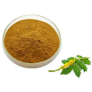 Agrimory Extract