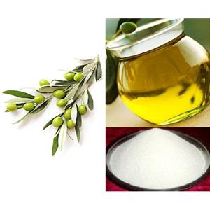 3,4-Dihydroxyphenylethanol; Olive leaf extract
