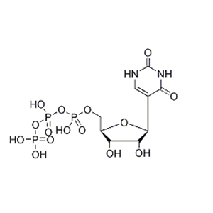 Pseudouridine 5’-Triphosphate