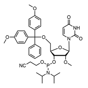 5'-O-(4,4-Dimethoxytrityl)-2'-O-methyluridine-3'-(2-cyanoethyl-N,N-diisopropyl)phosphoramidite