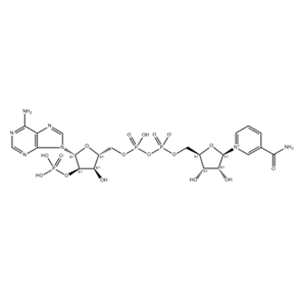 Triphosphopyridine nucleotide