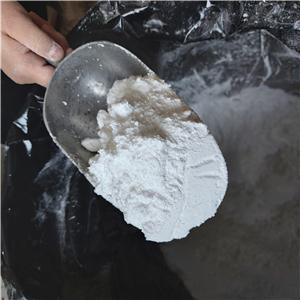 3-(4-METHYLBENZYLIDENE)CAMPHOR