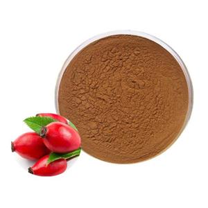 ROSE HIPS EXTRACT