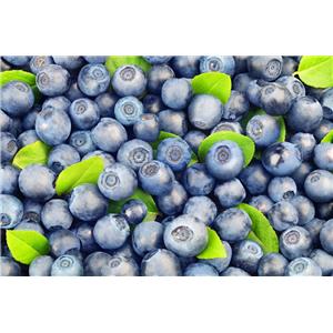 Blueberry freeze-dried powder