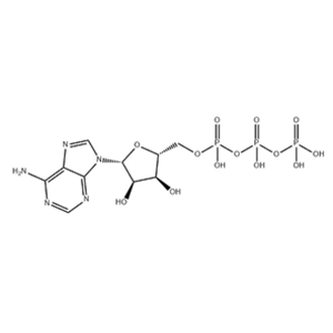 Adenosine triphosphate