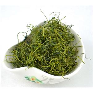 GYNOSTEMMA PLANT EXTRACT；GYPENOSIDES