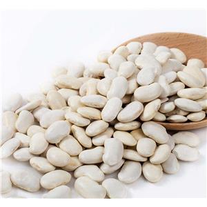 Phaseollin; White Kidney Bean Extract