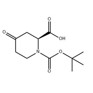 1-(tert-butoxycarbonyl)-4-oxopiperidine-2-carboxylic acid