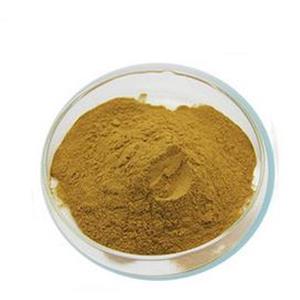 Camellia Sinensis Seed Extract