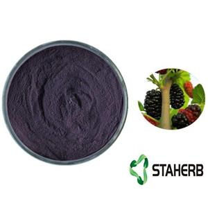 Mulberry powder;Mulberry Extract