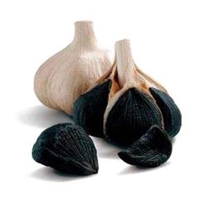 Black garlic extract