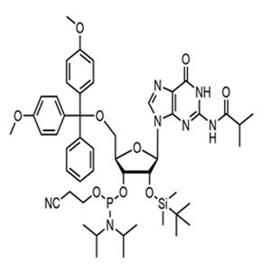 5'-DMT-2'-TBDMS-N2-ibu-rG phosphoramidite