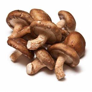 Shiitake mushroom extract powder