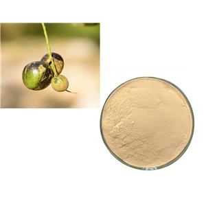 Helicid; Helicia nilagirica extract